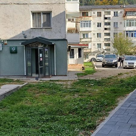 Apartamento Apartament Brezoi Exterior foto