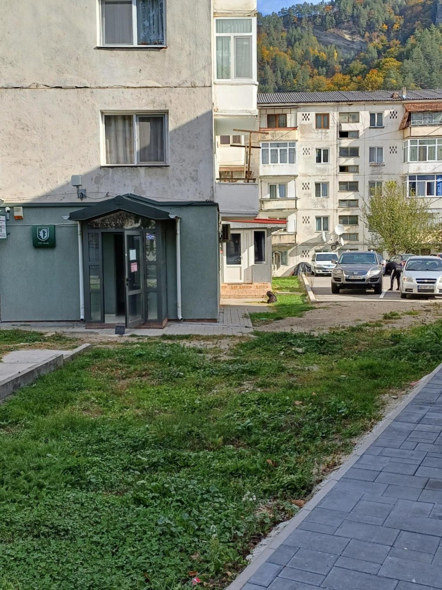 Apartamento Apartament Brezoi Exterior foto